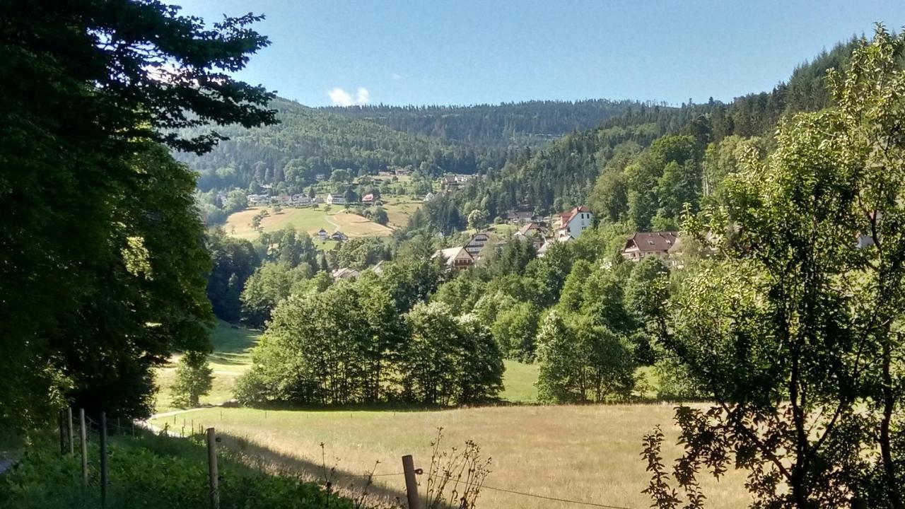 Alb-Rosa Lägenhet Bad Herrenalb Exteriör bild