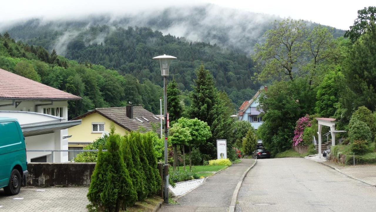 Alb-Rosa Lägenhet Bad Herrenalb Exteriör bild
